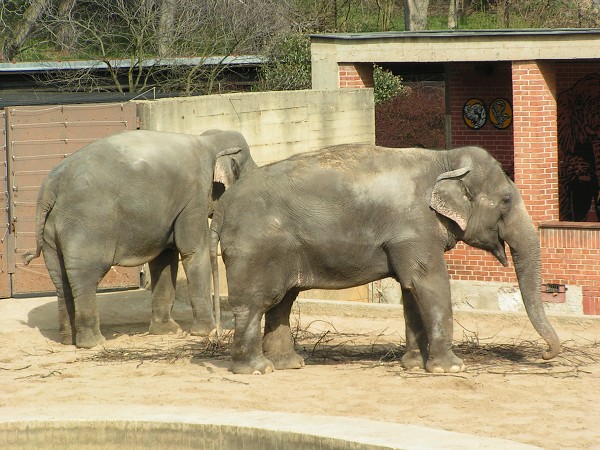 ZOO PRAHA